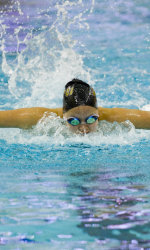 seraphina-van seraphina van purdue swimmer